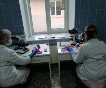 125278308_945220059339539_4651600461686128410_n