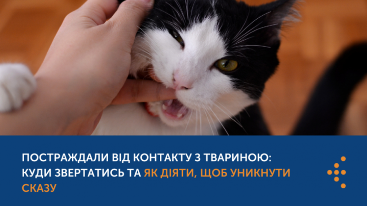 ПОСТРАЖДАЛИ ВІД КОНТАКТУ З ТВАРИНОЮ: КУДИ ЗВЕРТАТИСЬ ТА ЯК ДІЯТИ, ЩОБ УНИКНУТИ СКАЗУ